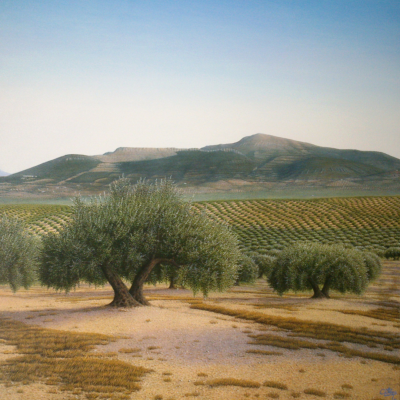 Paisaje Higuera de Calatrava